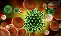การแพร่กระจายของไวรัส SARS-CoV-2 ทั่วโลกกำลังช้าลง
