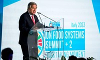 เปิดการประชุมสุดยอดของสหประชาชาติเกี่ยวกับระบบอาหาร