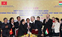 Hungary, Vietnam promote cultural cooperation