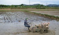 Hanoi to help Mozambique develop agriculture