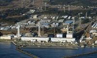 New radioactive leak found at Fukushima plant