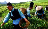 Vietnam among leading countries in poverty reduction 