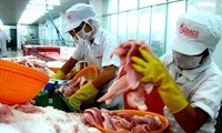 Vietnamese businesses seize TPP opportunities