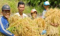 World Bank hails Vietnam’s poverty reduction efforts