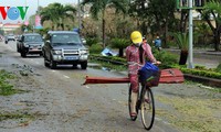 Vietnam launches relief operations after typhoon Wutip