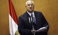 Egypt begins national dialogue on transitional roadmap