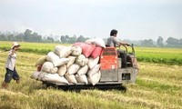 Mekong Delta forum to discuss agricultural restructuring