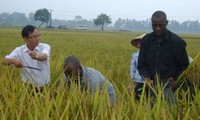 Vietnam and Mozambique boot agricultural co-operation