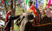 Elephant racing festival in Dak Lak opens