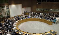 UNSC strengthens support for security reform