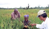 Vietnam pledges support for Africa’s food security