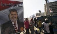 Egypt disrupts 43 terror groups since April
