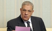 Egypt cabinet resigns