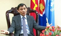 Vietnam reaffirms its commitments to UN peace-keeping operation
