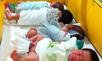 Vietnam maintains a reasonable birth rate