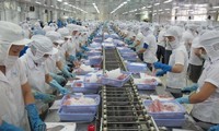 Vietnam’s economic recovery has positive impacts on labor market