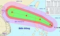 Vietnam prepares for typhoon Kalmaegi