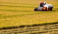   RoK shares experience in agricultural mechanisation with Vietnam
