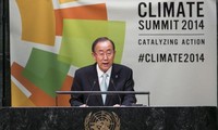 UN climate summit pledges to reduce deforestation