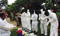  UN approves 50 million USD for Ebola response mission