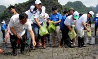 Vietnam observes International Day for Disaster Reduction