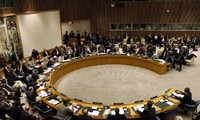 Mexico pledges to boost UN Security Council reform