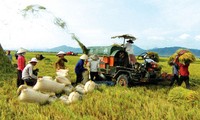 Agricultural sector urged to boost restructuring, new rural development