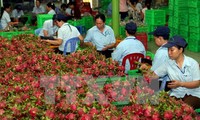 Vietnam, Germany boost agricultural cooperation