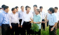 Deputy PM applauds Ha Tinh province’s high GDP growth