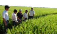 Seminar on reducing green-house gas emissions in rice cultivation