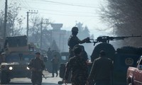 Afghanistan suicide bombing kills 14