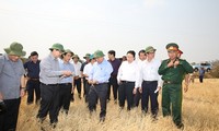Deputy Prime Minister inspects drought mitigation efforts in Gia Lai 