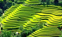 Ethnic culture highlighted at Mu Cang Chai festival