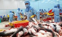 Tra fish exports eye 2.4 billion USD in 2019