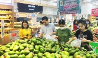 Vietnam Grand Sale 2020 opens next month