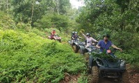 Driving all-terrain vehicles through the forests of Dong Mo