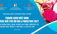 Vietnam seeks more export of dragon fruit to India, Pakistan