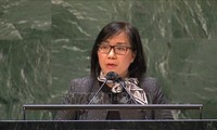 Vietnam calls for dialogue towards comprehensive political solution in Yemen