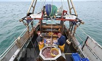 EU, UK reach fishing deal on shared stocks