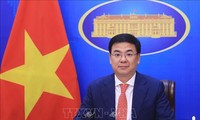 Overseas Vietnamese donate 3.5 million USD to COVID-19 battle