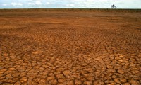 Half of world’s people suffer impacts of degraded land