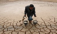 Vietnam will sich für Vereinbarungen zum Klimaschutz einsetzen.
