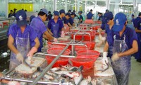  WWF-Fischratgeber: Pangasius aus Vietnam im Prozess der Zertifizierung