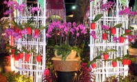  Eröffnung des Blumenfestivals Neujahr 2012