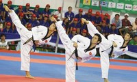 Vietnam nimmt an Taekwondo-German Open in Hamburg teil