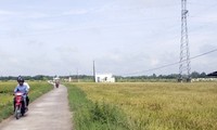 Vietnam berücksichtigt Landwirtschaftsentwicklung