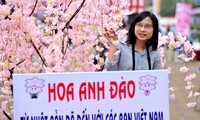 Eröffnung des Fests der japanischen Kirschblüte in Ha Long