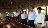 Vize-Premierminister Nguyen Thien Nhan arbeitet in Ha Nam