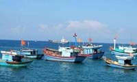 Fischer in Quang Ngai beharren auf Fischfang im Meeresgebiet Hoang Sa und Truong Sa
