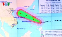 Vizepremierminister Hoang Trung Hai fordert die Verfolgung der Bewegung des Taifuns "Rammasun"